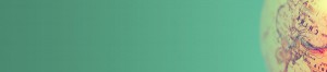 Display Selectivo - Mark Site - Agencia de Marketing Online
