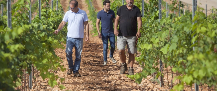 Bodegas Santa Catarina, de la esencia y el tiempo.